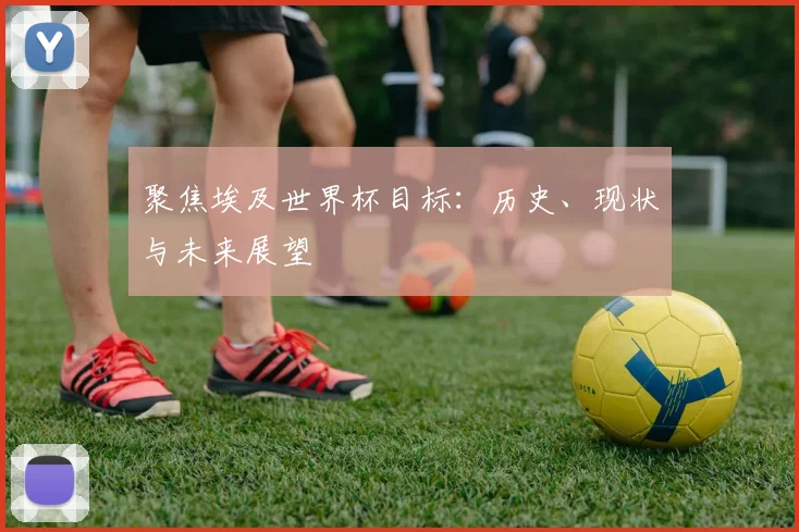 聚焦埃及世界杯目标：历史、现状与未来展望